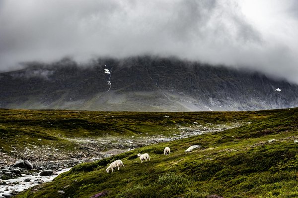 Comment choisir les vêtements adaptés pour un camping en région de prairies?