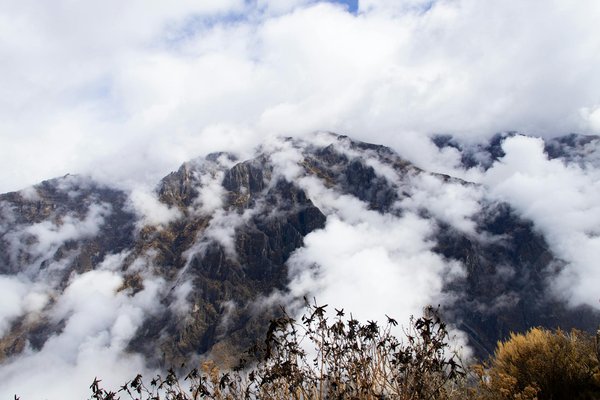 Quels sont les meilleurs spots pour la plongée en apnée aux Maldives?